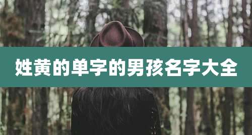 姓黄的单字的男孩名字大全