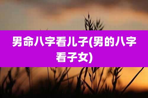 男命八字看儿子(男的八字看子女)