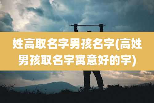 姓高取名字男孩名字(高姓男孩取名字寓意好的字)