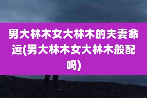 男大林木女大林木的夫妻命运(男大林木女大林木般配吗)