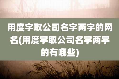 用度字取公司名字两字的网名(用度字取公司名字两字的有哪些)