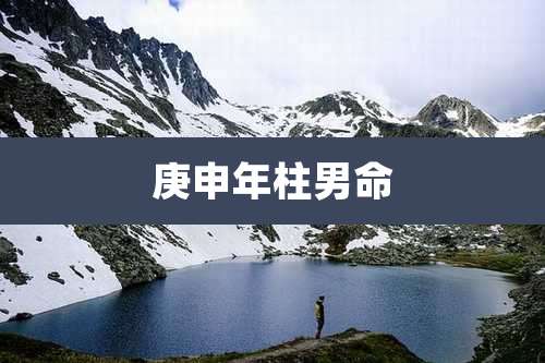 庚申年柱男命