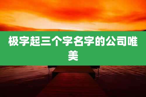 极字起三个字名字的公司唯美