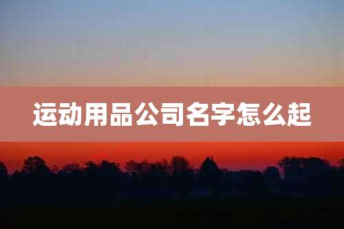 运动用品公司名字怎么起