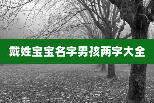 戴姓宝宝名字男孩两字大全