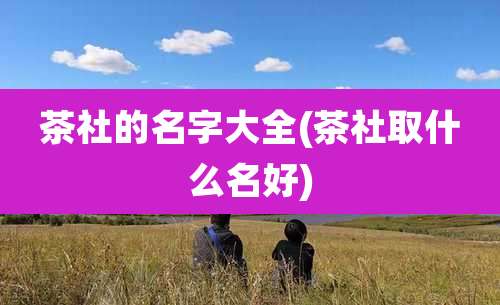 茶社的名字大全(茶社取什么名好)