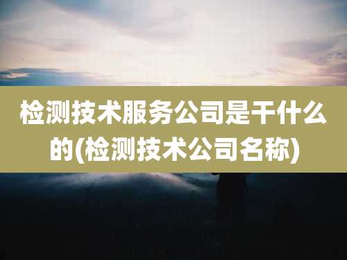 检测技术服务公司是干什么的(检测技术公司名称)