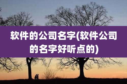 软件的公司名字(软件公司的名字好听点的)