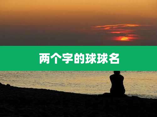 两个字的球球名
