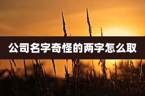 公司名字奇怪的两字怎么取