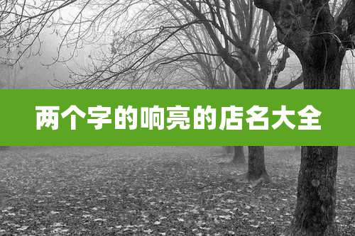 两个字的响亮的店名大全