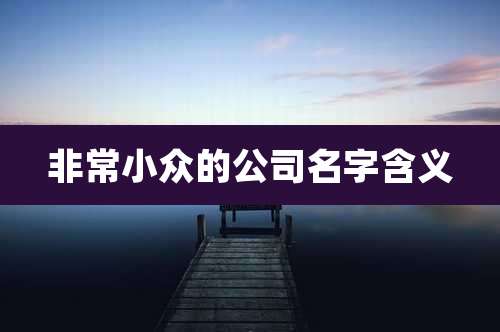 非常小众的公司名字含义