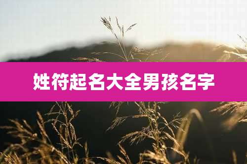 姓符起名大全男孩名字