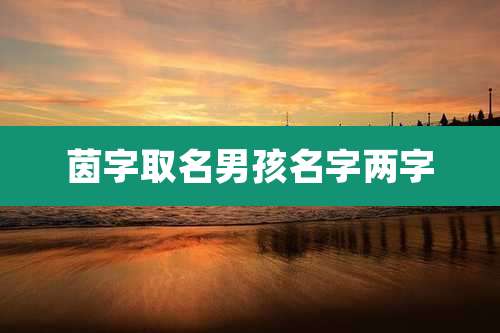 茵字取名男孩名字两字