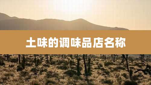 土味的调味品店名称