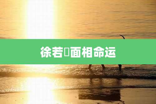 徐若瑄面相命运