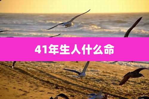 41年生人什么命