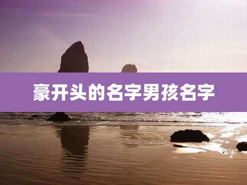 豪开头的名字男孩名字