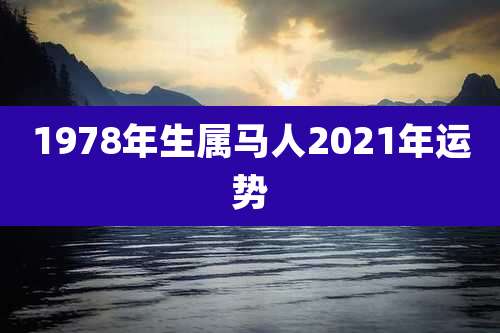 1978年生属马人2021年运势