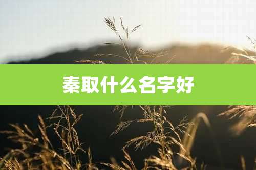 秦取什么名字好