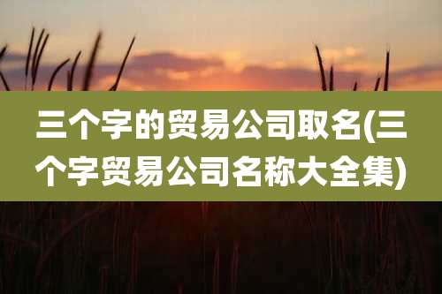 三个字的贸易公司取名(三个字贸易公司名称大全集)