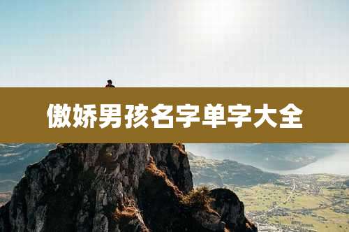 傲娇男孩名字单字大全