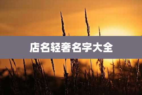 店名轻奢名字大全