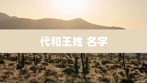 代和王姓 名字