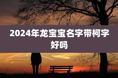 2024年龙宝宝名字带柯字好吗