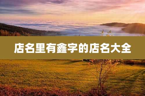 店名里有鑫字的店名大全