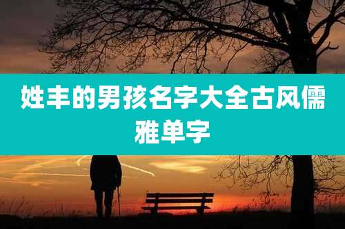 姓丰的男孩名字大全古风儒雅单字