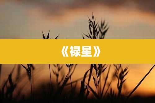 《禄星》