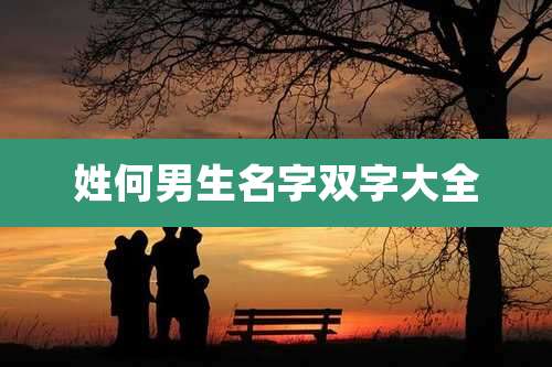 姓何男生名字双字大全