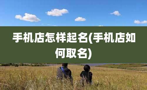手机店怎样起名(手机店如何取名)