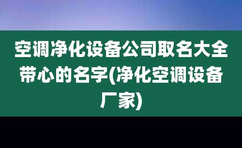 空调净化设备公司取名大全带心的名字(净化空调设备厂家)