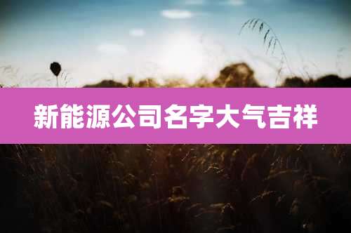 新能源公司名字大气吉祥