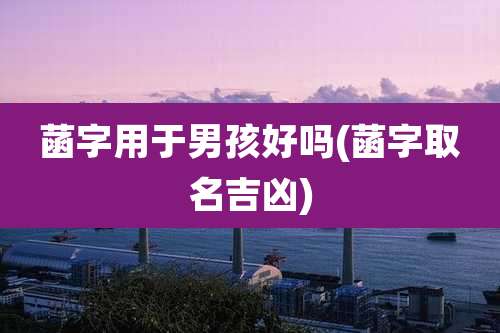 菡字用于男孩好吗(菡字取名吉凶)