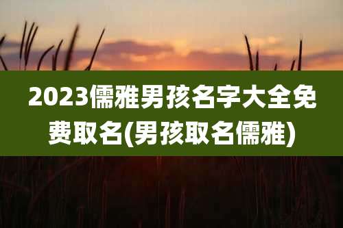 2023儒雅男孩名字大全免费取名(男孩取名儒雅)