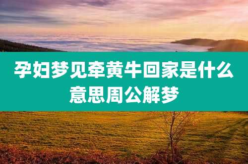 孕妇梦见牵黄牛回家是什么意思周公解梦
