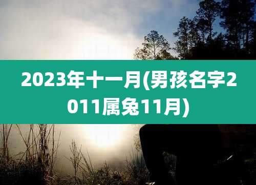 2023年十一月(男孩名字2011属兔11月)