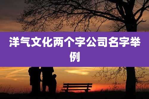 洋气文化两个字公司名字举例