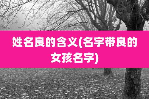 姓名良的含义(名字带良的女孩名字)