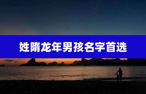 姓隋龙年男孩名字首选