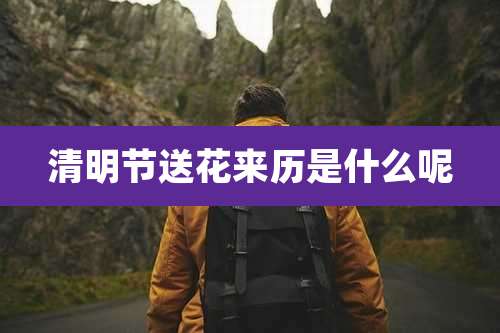 清明节送花来历是什么呢