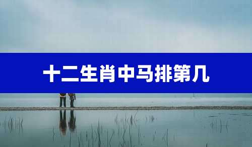 十二生肖中马排第几