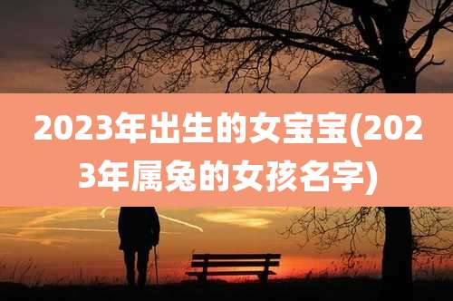 2023年出生的女宝宝(2023年属兔的女孩名字)