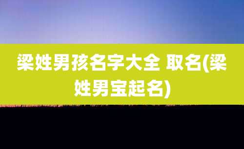 梁姓男孩名字大全 取名(梁姓男宝起名)