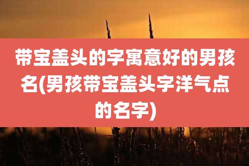 带宝盖头的字寓意好的男孩名(男孩带宝盖头字洋气点的名字)