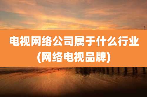 电视网络公司属于什么行业(网络电视品牌)
