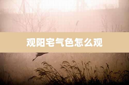 观阳宅气色怎么观